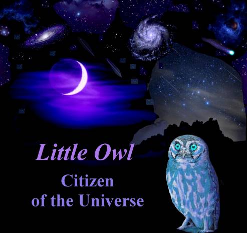 Lightworker Little Owl, Citizen of the Universe