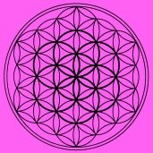 Drunvalo's Flower Of Life Drawing